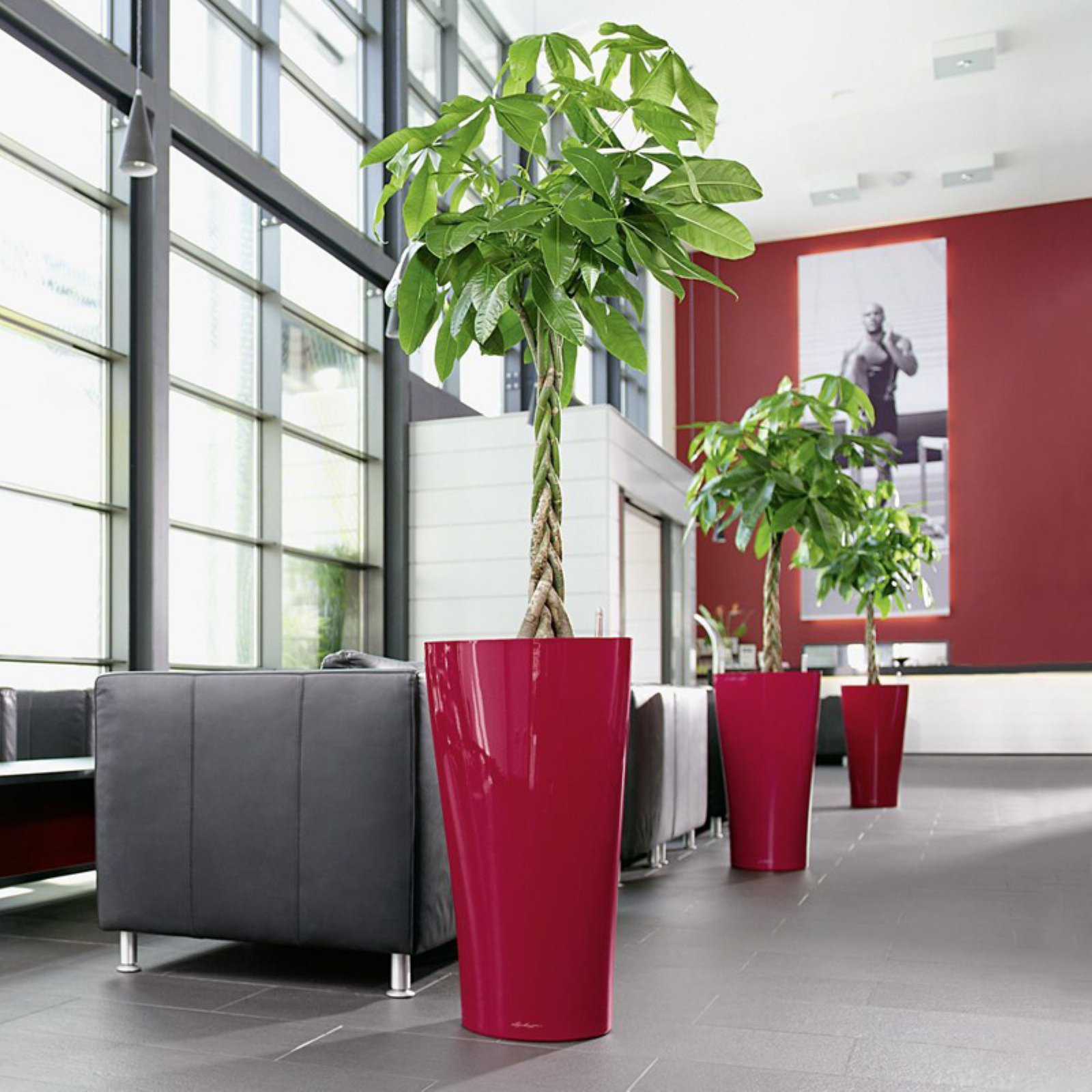 Lechuza Delta SelfWatering Indoor Planter