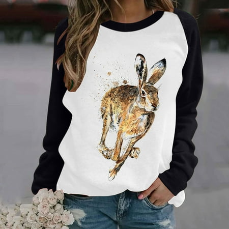 

TZNBGO Women s Color Block Shirts Long Sleeve Tee Shirts for Women T Shirts Elegant Spring Fall Printed Crewneck Casual Tee Tops Raglan Animal Top Black XL Corset Tops For Women Teen Tops Gym Top31286