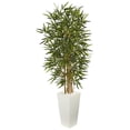 thumbnail image 1 of Nearly Natural 5849 5.5 ft. Bamboo Artificial Tree in White Tower Planter, 1 of 5