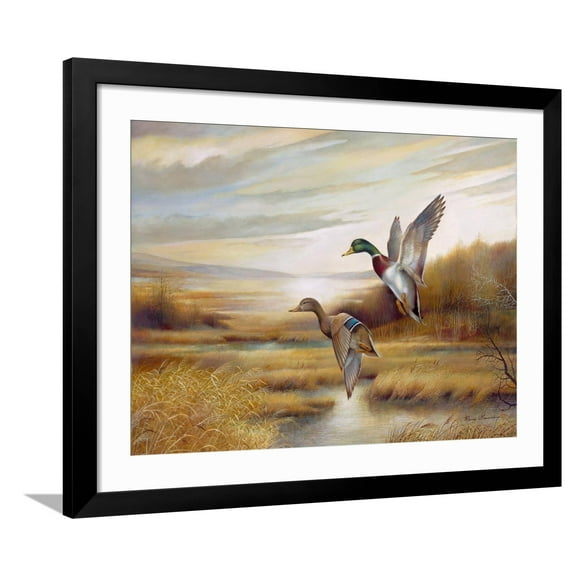 Art.com Mallards Art Print by Ruane Manning, Black Frame Wall Art, 40" x 32"