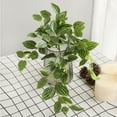 thumbnail image 3 of Plantas falsas para Decoración del hogar Matsuzay Mini Flor Artificial hoja de vid Verde, 3 of 6