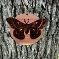 thumbnail image 2 of Cecropia Moth - Cedar Ornament, 2 of 4