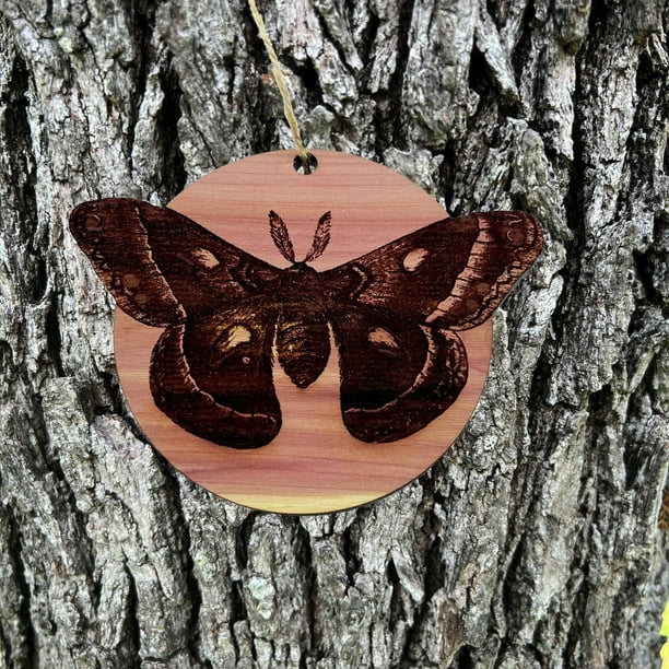 Cecropia Moth - Cedar Ornament Cecropia Moth - Cedar Ornament