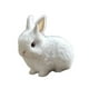 thumbnail image 5 of El animal de peluche de de peluche de lujoso puede saltar y hacer un juguete de peluche suave de peluche de sonido para niños y niñas de, 5 of 8