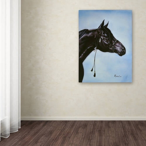 Trademark Fine Art 'Black Arabian' Canvas Art by Jenny Newland