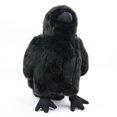 thumbnail image 1 of Peluche POPOTATO con forma de cuervo grande, realista, 24 cm, 1 of 7