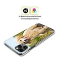thumbnail image 2 of Head Case Designs Popular Dog Breeds Golden Retriever Puppy Hard Back Case Compatible with Apple iPhone 15 Plus, 2 of 7