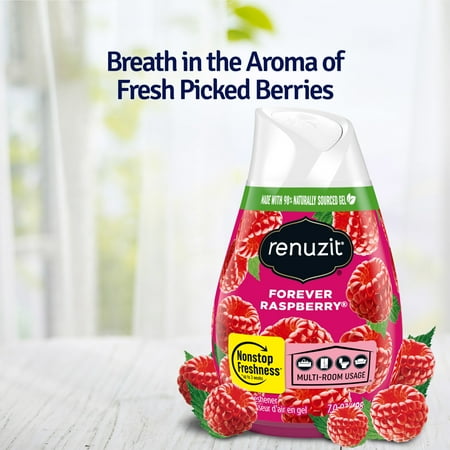 Renuzit Gel Air Freshener, Forever Raspberry, 7.0 Ounce