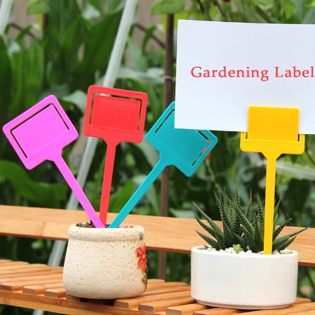 Xihbxyly Etiquetas para Plantas Tipo T, Diseño de Plástico Duradero, Fácil Escritura, Etiqueta Blanca Visible, para Marcar Semillas de Jardín E Identificar Árboles Frutales, Tamaño 5 X 17,7 Cm