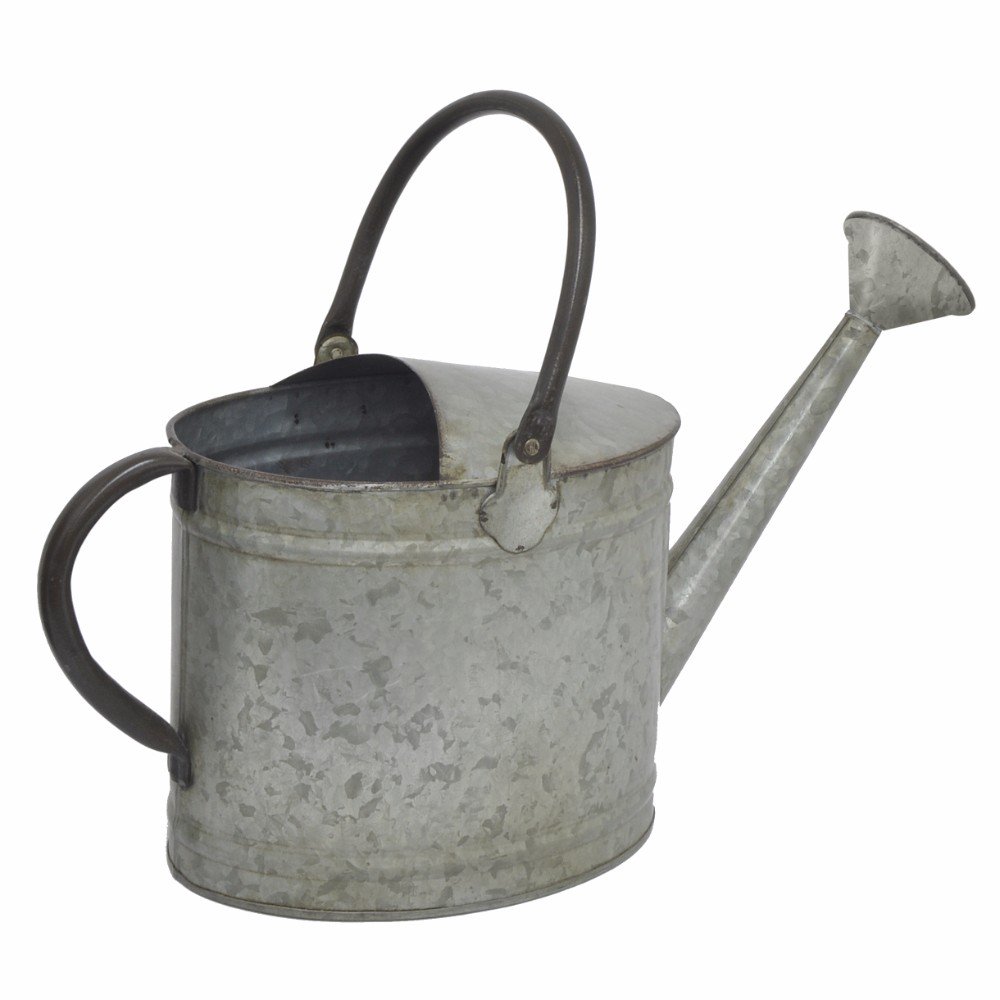 Galvanized Metal Watering Can with 2 Handles