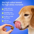 thumbnail image 3 of Native Pet Anxiety & Stress Support Chew Supplement for Dogs, 60 count, 3 of 7