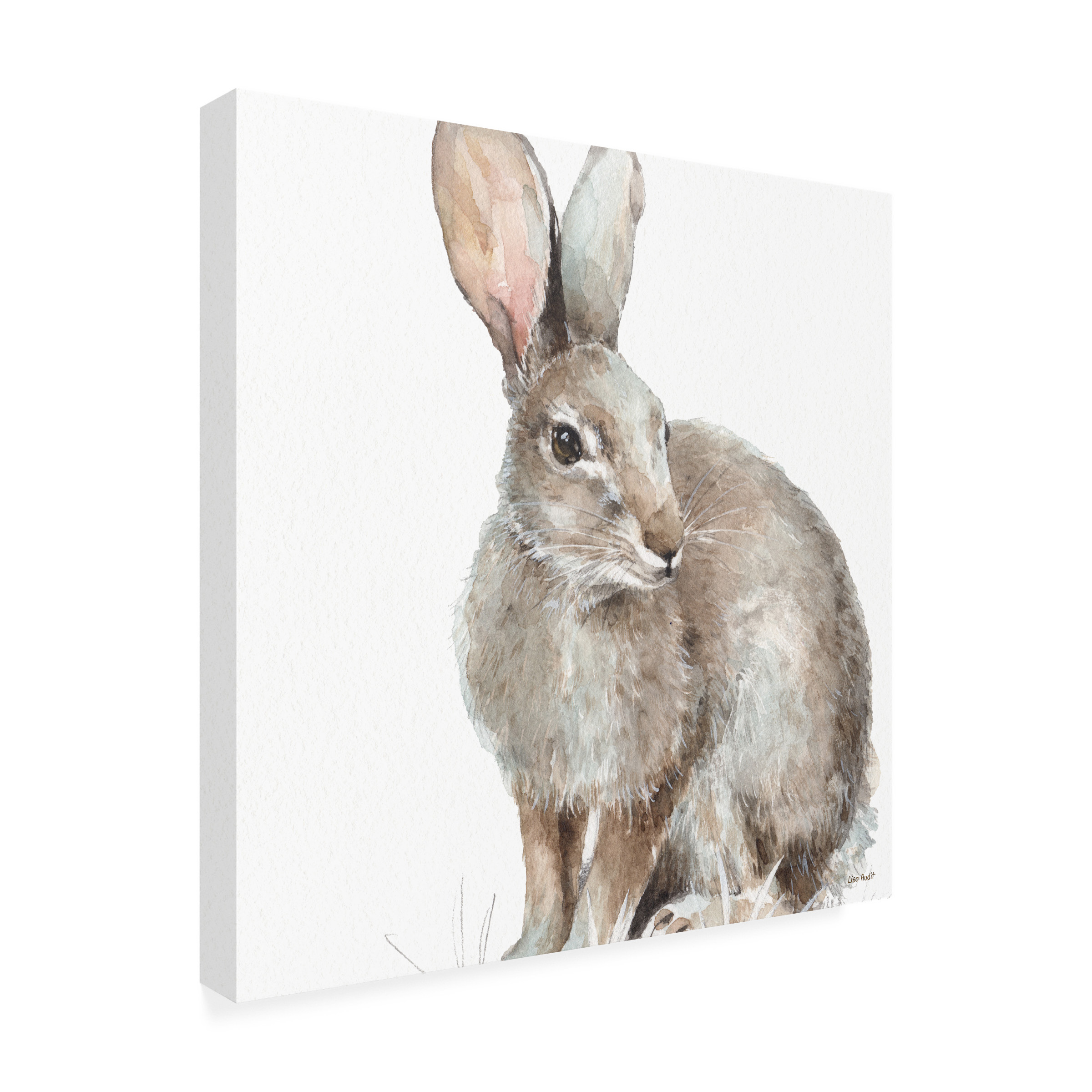 Trademark Fine Art 'Forest Friends II Soft Shade' Canvas Art by Lisa Audit