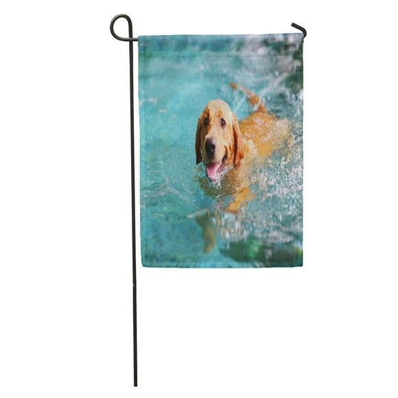 POGLIP Blue Pool Labrador Retriever Happy Dog Swimming Smiling Brown Family Calm Garden Flag Decorative Flag House Banner 28x40 inch