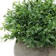 thumbnail image 5 of Mini plantas artificiales decorativas de plástico en maceta para decoración del hogar y el jardín., 5 of 7