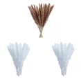 thumbnail image 1 of Paquete de 45 fragmitas, ramo de pampa seca para , plantas, de, 1 of 9