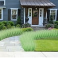 thumbnail image 4 of Zukuco 16PCS Fake Light Green Grass Decor Artificial Grass Plants Outdoor Artificial Tall Shrubs Wheat Grass Greenery Stems Faux UV Resistant Grass Artificial Plant for Outdoor Indoor Home Decor, 4 of 7