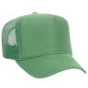 Cactus Green