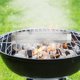 thumbnail image 5 of RENACLIPY 1Jgo De Humo Para Bbq Resistente Y Apariencia Estilizada, 5 of 5