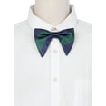 thumbnail image 4 of INSPIRE CHIC Father's Day Men's Chunky Stripes Pre-tied Bowties Satin Adjustable Bow Ties for Formal Wedding Green-Blue, 4 of 4