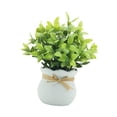 thumbnail image 4 of Plantas artificiales pequeñas, decoración de mesa, plantas artificiales en maceta, mini macetas Blanco, 4 of 9