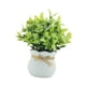 thumbnail image 4 of Pequeñas plantas artificiales, bonsáis artificiales, decoración de mesa, centro de mesa, Blanco, 4 of 9