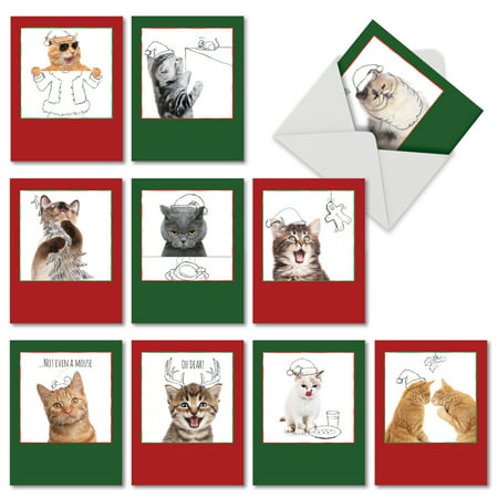 M6583XSG CHRISTMAS CATS & DOODLES' 10 Assorted Merry Christmas Cards with Envelopes by The Best Card