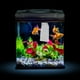 thumbnail image 4 of ColoMX Bolsas de filtro de silbido de acuario profesional 3 unids Bolsas de filtrado de peces premium, 4 of 8