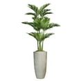 thumbnail image 1 of Vintage Home Artificial Faux Real Touch 6.17 Feet Tall Palm Tree With Eco Planter, 1 of 3