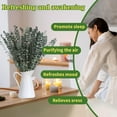 thumbnail image 4 of Eucalipto seco ramas decoración baño eucalipto seco colgante eucalipto seco hogar, 4 of 7