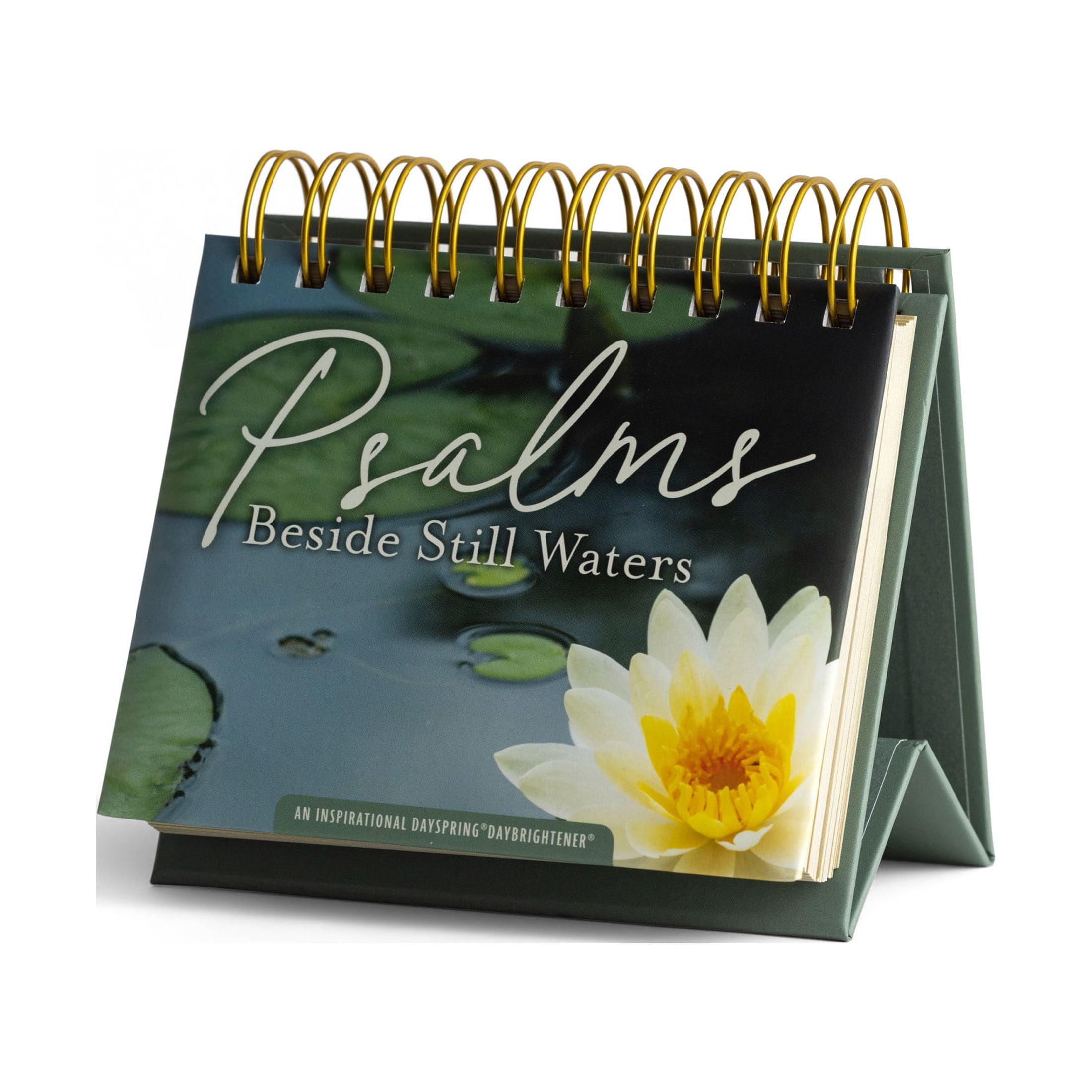 DaySpring Inspirational 365-Day Christian Bible Desk