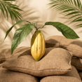 thumbnail image 4 of unbranded Adorno Plástico Artificial De Cacao Amarillo Para Y Escaparate, 4 of 8