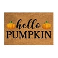 thumbnail image 1 of Farmhouse Autumn Thanksgiving Decorative Doormat Non Indoor Entryway Rug For Fall Holiday Seasonal, 1 of 4