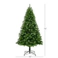 thumbnail image 3 of Puleo 6.5ft Dixon Pine Tree, 3 of 5