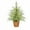 Multicolor, variant on 24in -Lit Green Artificial Christmas Tree 45cm Encrypted Flame Retardant Christmas Tree Christmas Decoration Christmas Suppl New, Style-hd-364, Multicolor