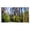 Forest, variant on GTSABWAY 71"x138" UV Printed Retractable PVC Mesh Side Awning Patio Privacy Screen with UPF50+ Sun Shade Windbreak for Garden Balcony Deck, Dinosaur Pattern