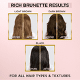 thumbnail image 5 of L'Oreal Paris Le Color Gloss One Step Toning Gloss Hair Color, 5 Rich Brunette, 4 fl oz, 5 of 11