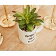 thumbnail image 5 of The Office "World's Best Boss" 3-Inch Ceramic Mini Planter With Artificial Succulent, 5 of 6