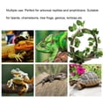 thumbnail image 4 of Rama Trepadora De Reptiles, 4 of 7