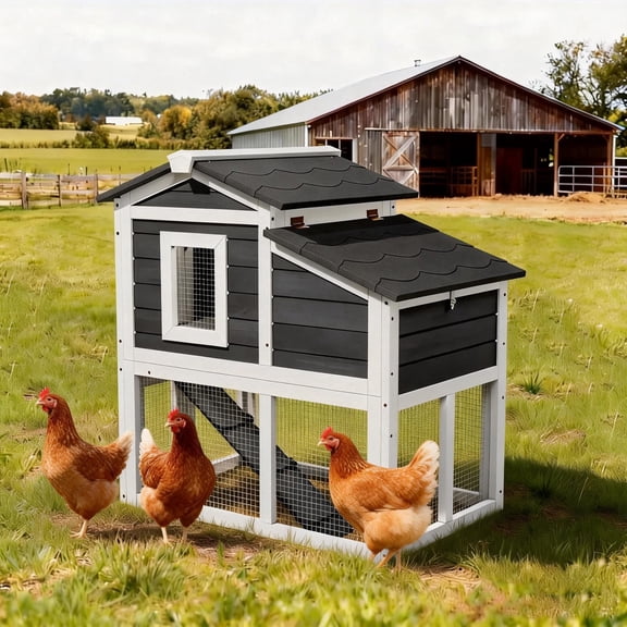 Wooden Backyard Chicken Coop and Run, Chicken House with Weatherproof Nesting Box,Black with White