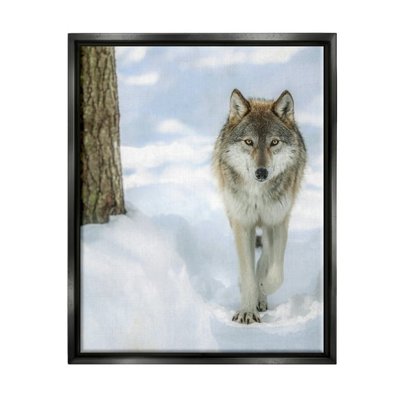 Stupell Industries Wild Wolf Winter Snow Photography Animals & Insects Photography Black Floater Framed Art Print Wall Art