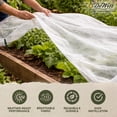 thumbnail image 3 of DeWitt 10x12 Feet N-Sulate Frost Protection & Fabric Cover for Outdoor Plants, 3 of 7