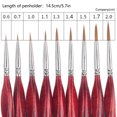 thumbnail image 2 of Juego de pinceles de pintura Nail Art Painting Liner Pinceles de dibujo Pintura de uñas Plumas de mango de madera, 9 piezas Scienceny EL4434-01B, 2 of 2