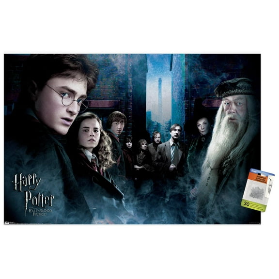 Harry Potter and the Half-Blood Prince - Fraternity Wall Poster with Push Pins, 22.375" x 34"