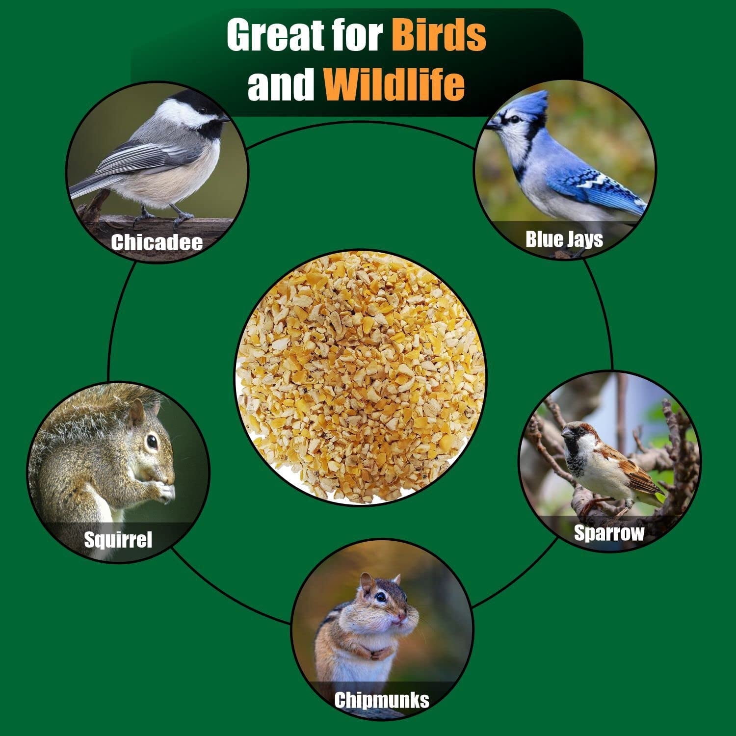 Old Potters Organic Premium Cracked Corn, Nutrition for Chicken Deer and Wildlife, NON GMO USA Grown 50 lbs