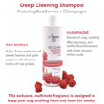 thumbnail image 4 of Sulfate-Free Deep Cleaning Shampoo - 16 Ounce Bottle for Gentle Hair Care, 4 of 4