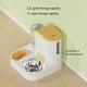 thumbnail image 4 of Automatic Dog Feeder Water Dispenser - Stainless Steel Feeding Bowl, Large Capacity & Detachable Design ShopWise Round, 4 of 9