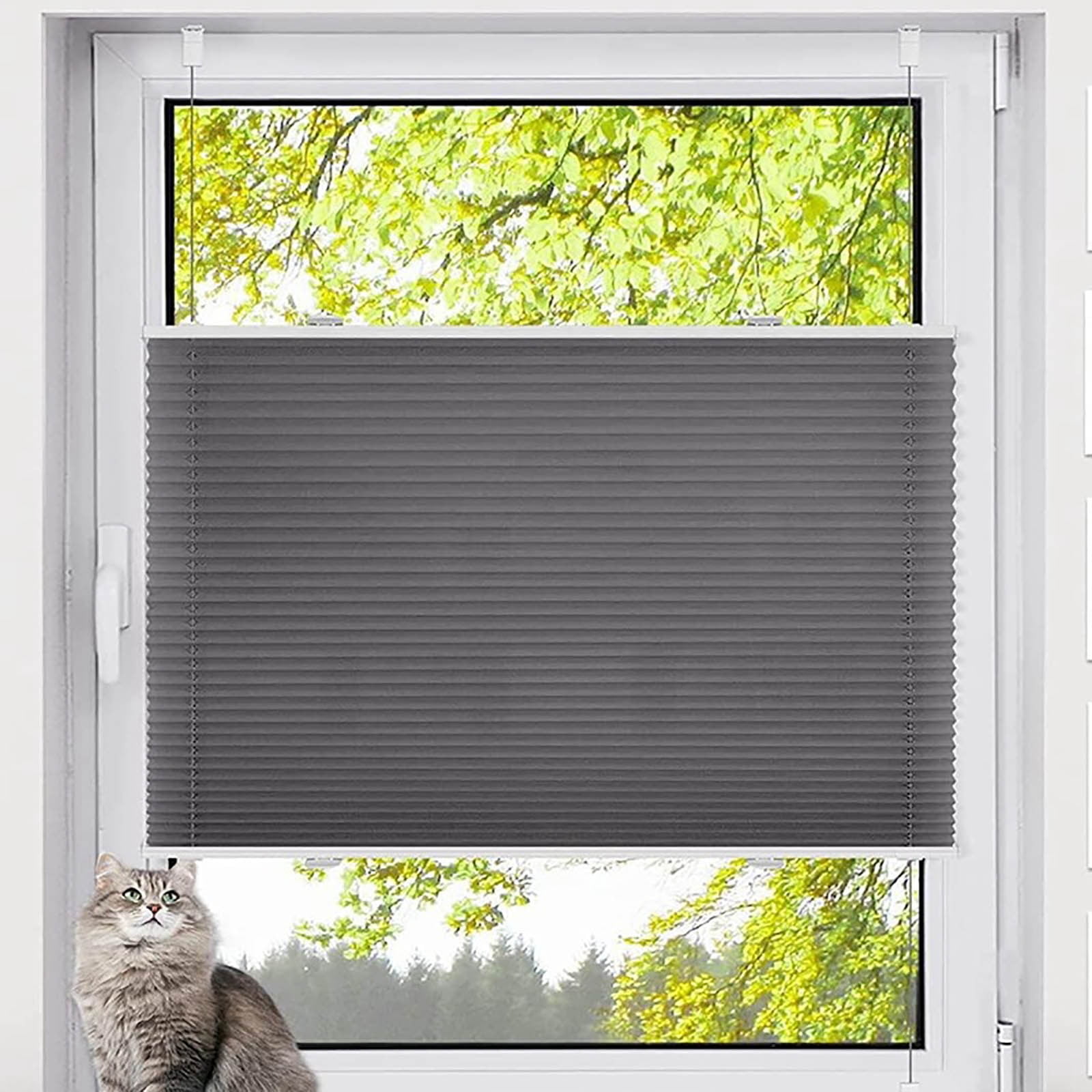 Cordless Cellular Shades - No Tools No Drill Honeycomb Blinds for Windows, Blackout Thermal Insulated Easy Install Pleated Window Shades for Privacy Energy Efficiency(47.24*23.62Inch)