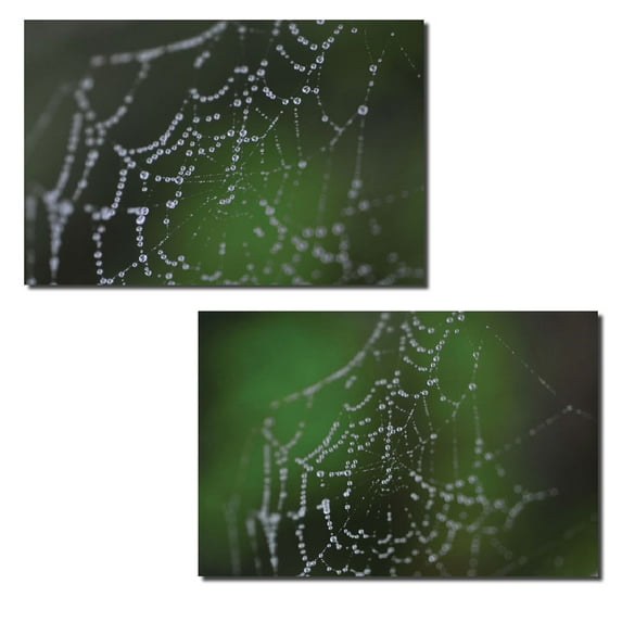 Dewy Web | Beautiful Intricate Spider Web Photograph; Two 10x8 Poster Prints
