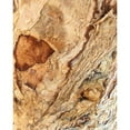 thumbnail image 3 of Stelfox, Norm 15x18 Black Modern Framed Museum Art Print Titled - Tree Texture Triptych II, 3 of 5