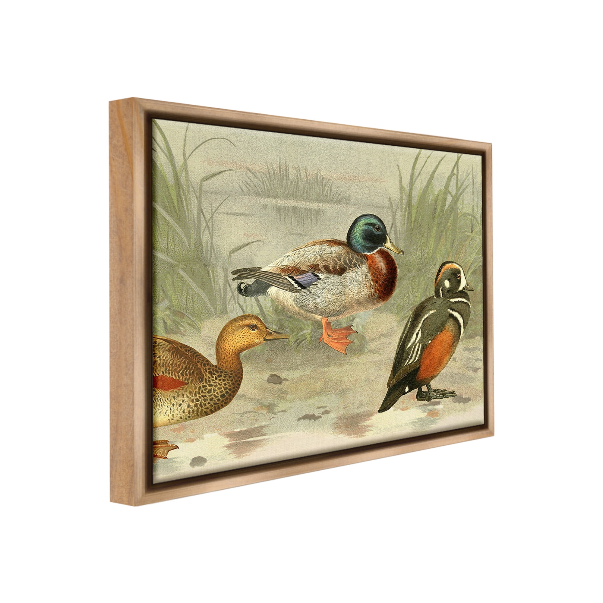 Stupell Industries Various Ducks by Pond Animals & Insects Painting Brown Floater Framed Canvas Art Print Wall Art, 21 x 17